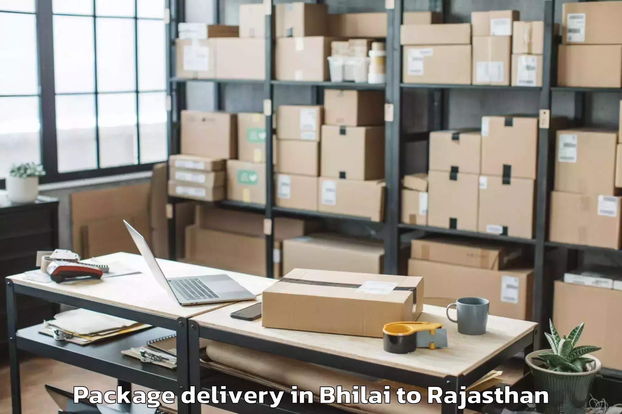 Affordable Bhilai to Indergarh Package Delivery